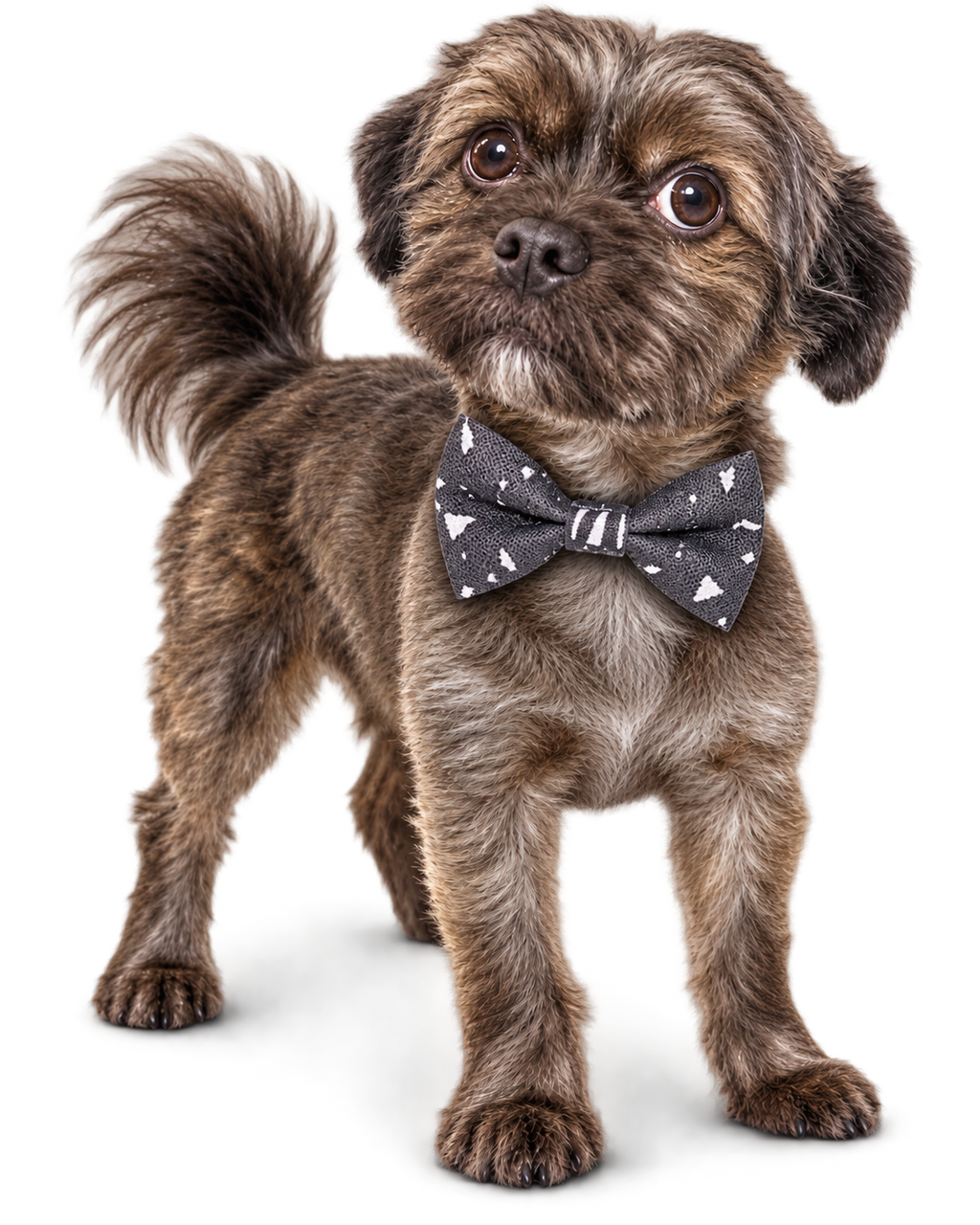 Poochiful Dog Bow Tie