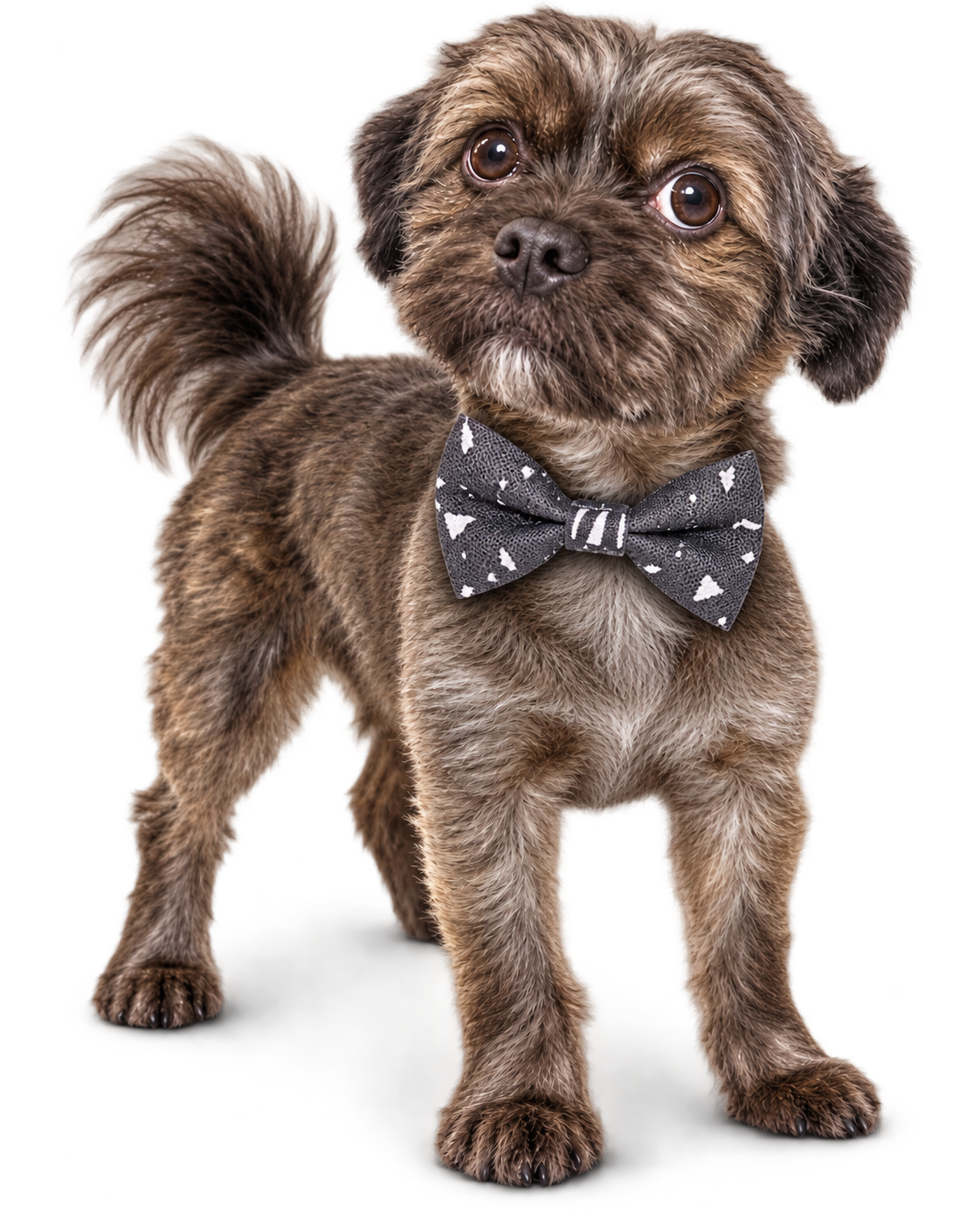 Poochiful Dog Bow Tie