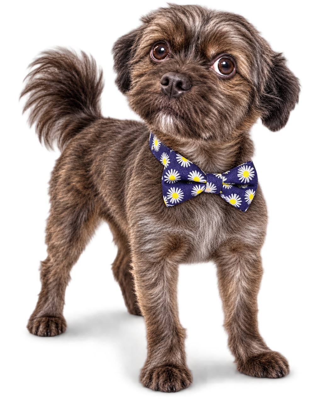Poochiful Dog Bow Tie