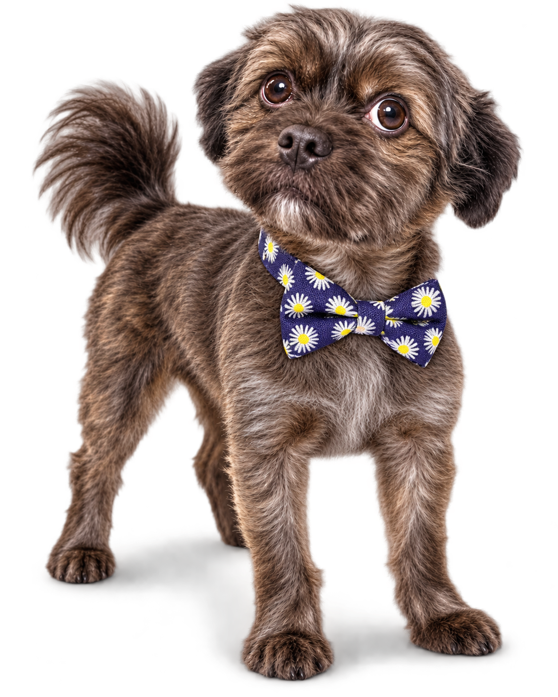Poochiful Dog Bow Tie