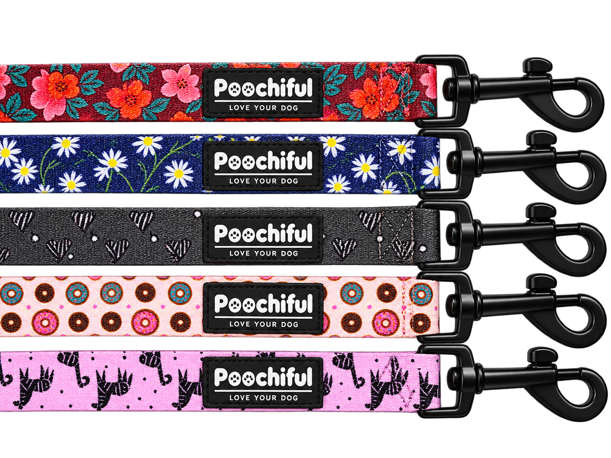 Poochiful Dog Lead