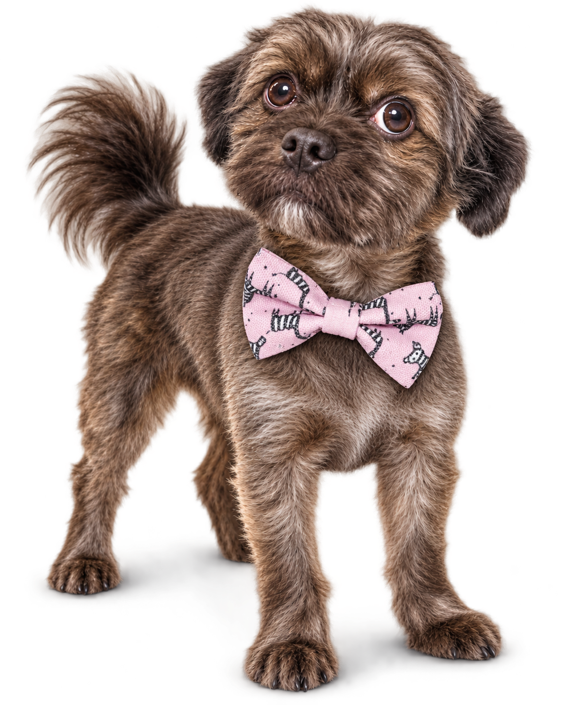 Poochiful Dog Bow Tie