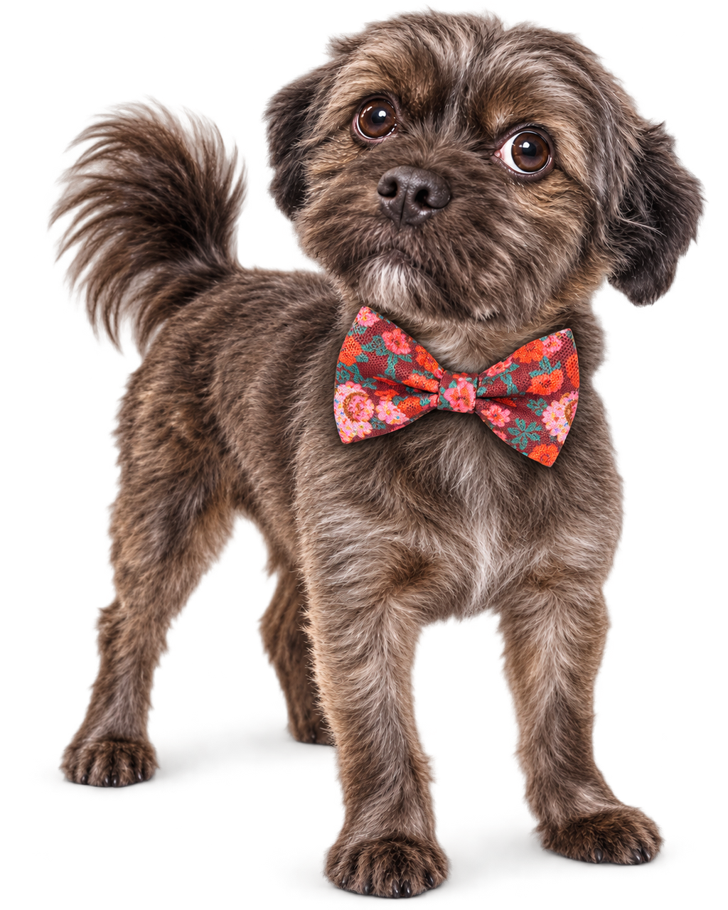 Poochiful Dog Bow Tie