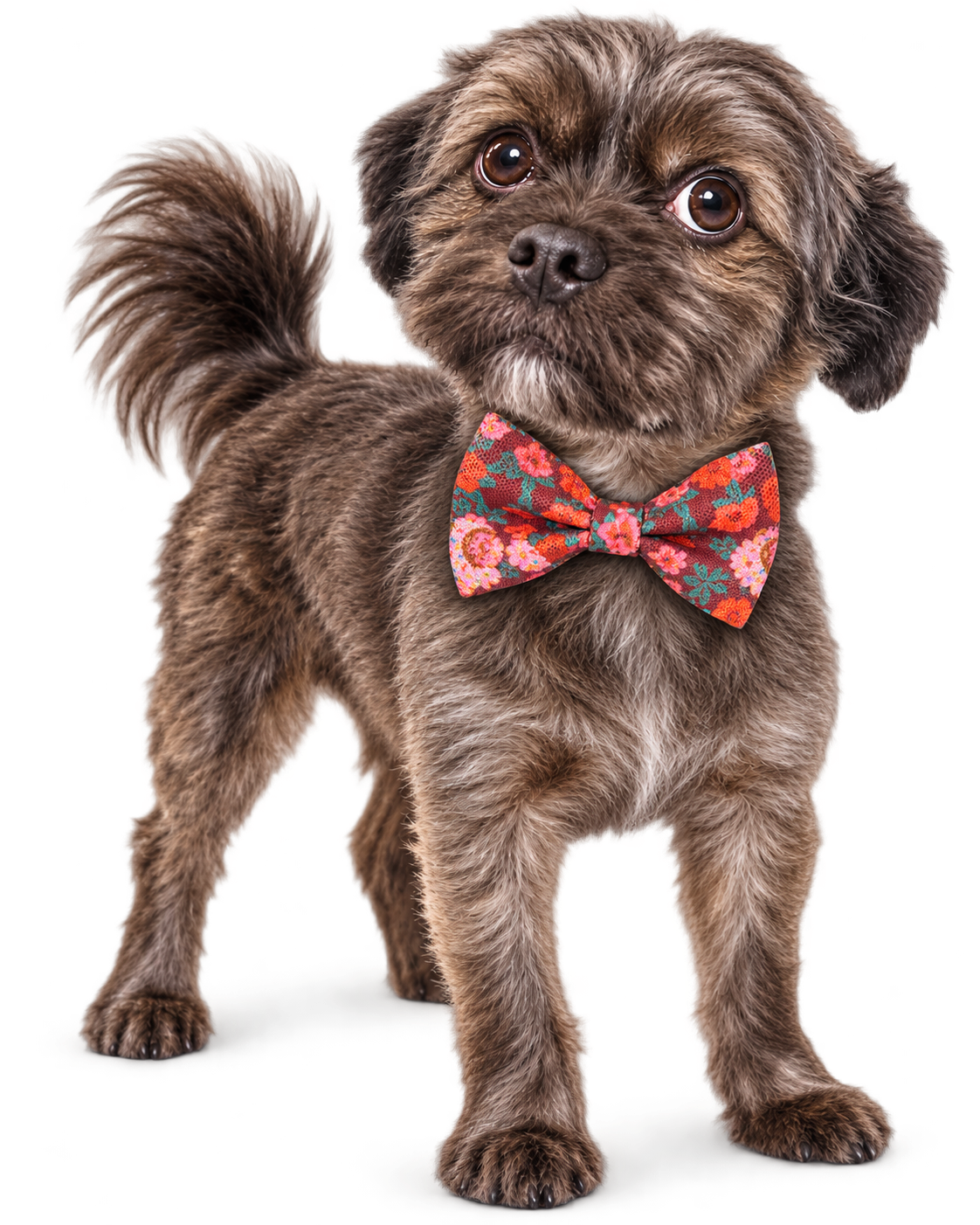 Poochiful Dog Bow Tie